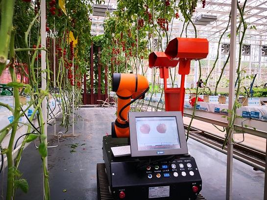 核心技術(shù)之一 :非結(jié)構(gòu)環(huán)境下機(jī)器視覺(jué)信息獲取技術(shù)